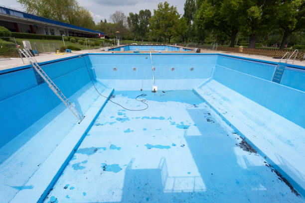 Best Water damage contractors near me  in Weston, OH