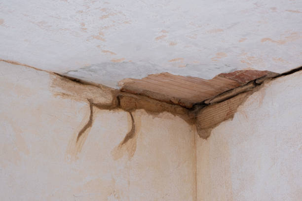 Water damage restoration experts in Weston, OH
