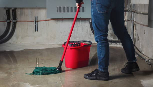Best Emergency water damage restoration  in Weston, OH
