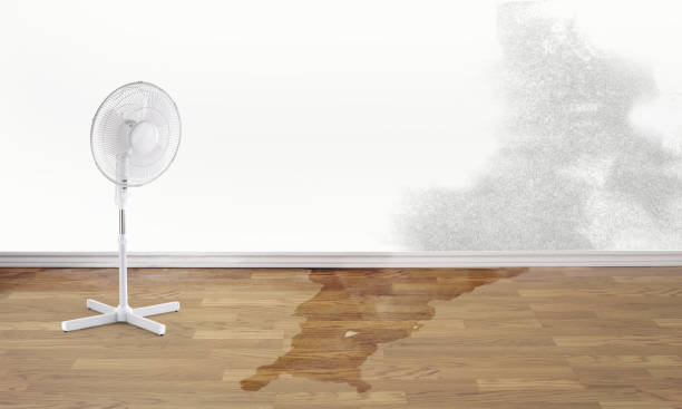 Best Ceiling water damage repair  in Weston, OH