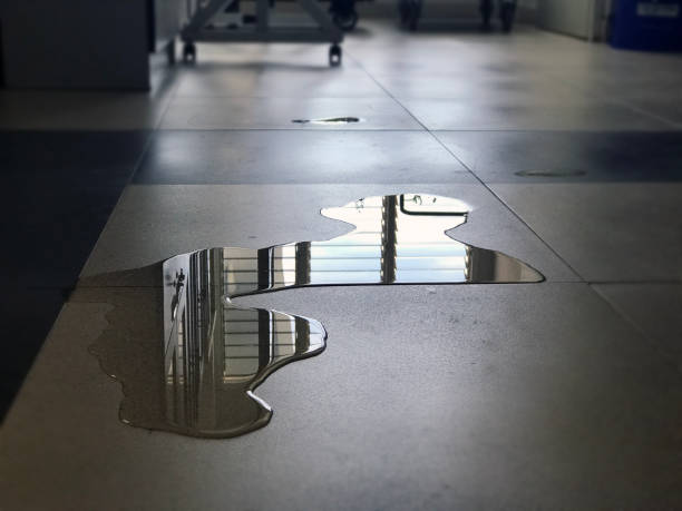 Best Water damage restoration specialists  in Weston, OH