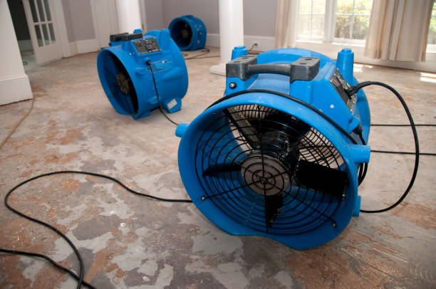 Best Residential water damage restoration  in Weston, OH