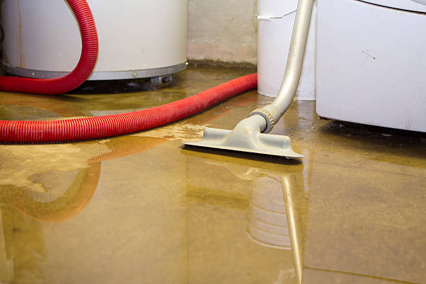 Best Commercial water damage restoration  in Weston, OH
