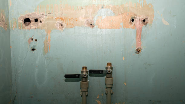 Best Mold removal after water damage  in Weston, OH