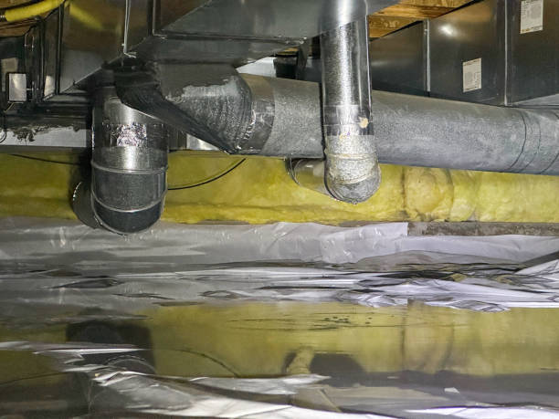 Best Mold removal after water damage  in Weston, OH