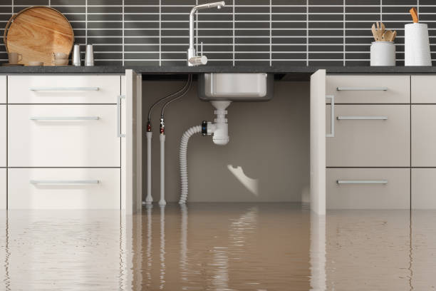 Best Water damage restoration near me  in Weston, OH