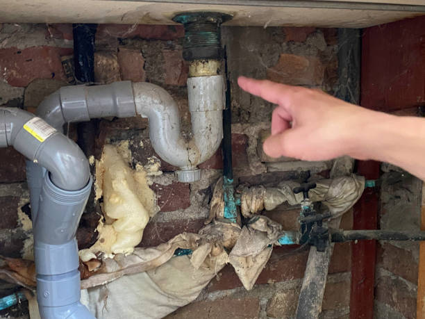 Best Commercial water damage restoration  in Weston, OH