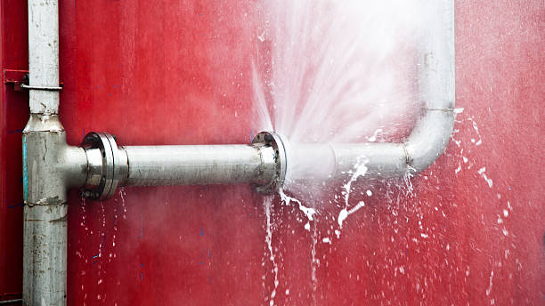 Carpet water damage restoration in Weston, OH