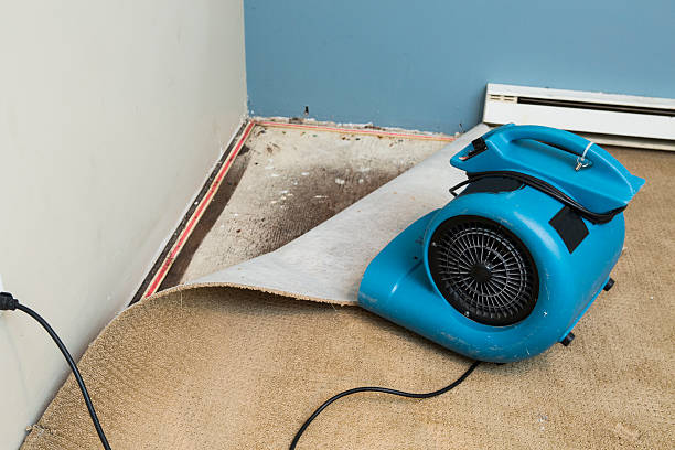 Best Water damage restoration experts  in Weston, OH